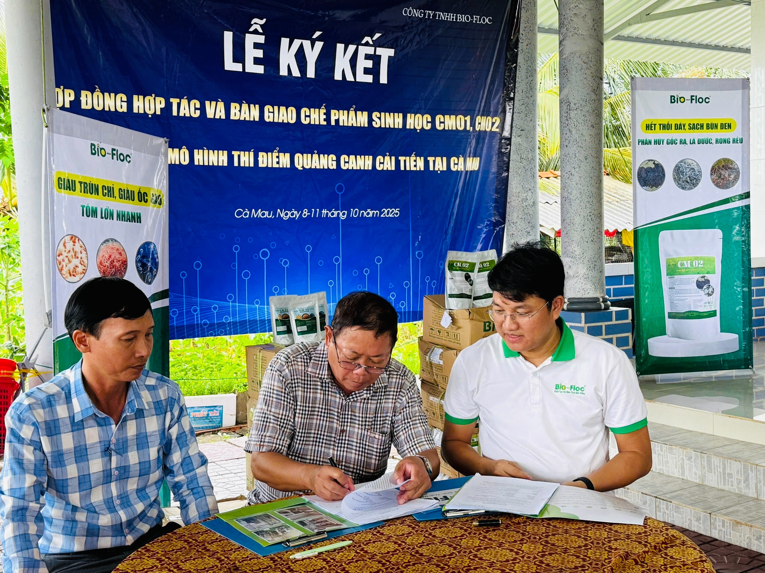 Nuôi tôm quảng canh cải tiến