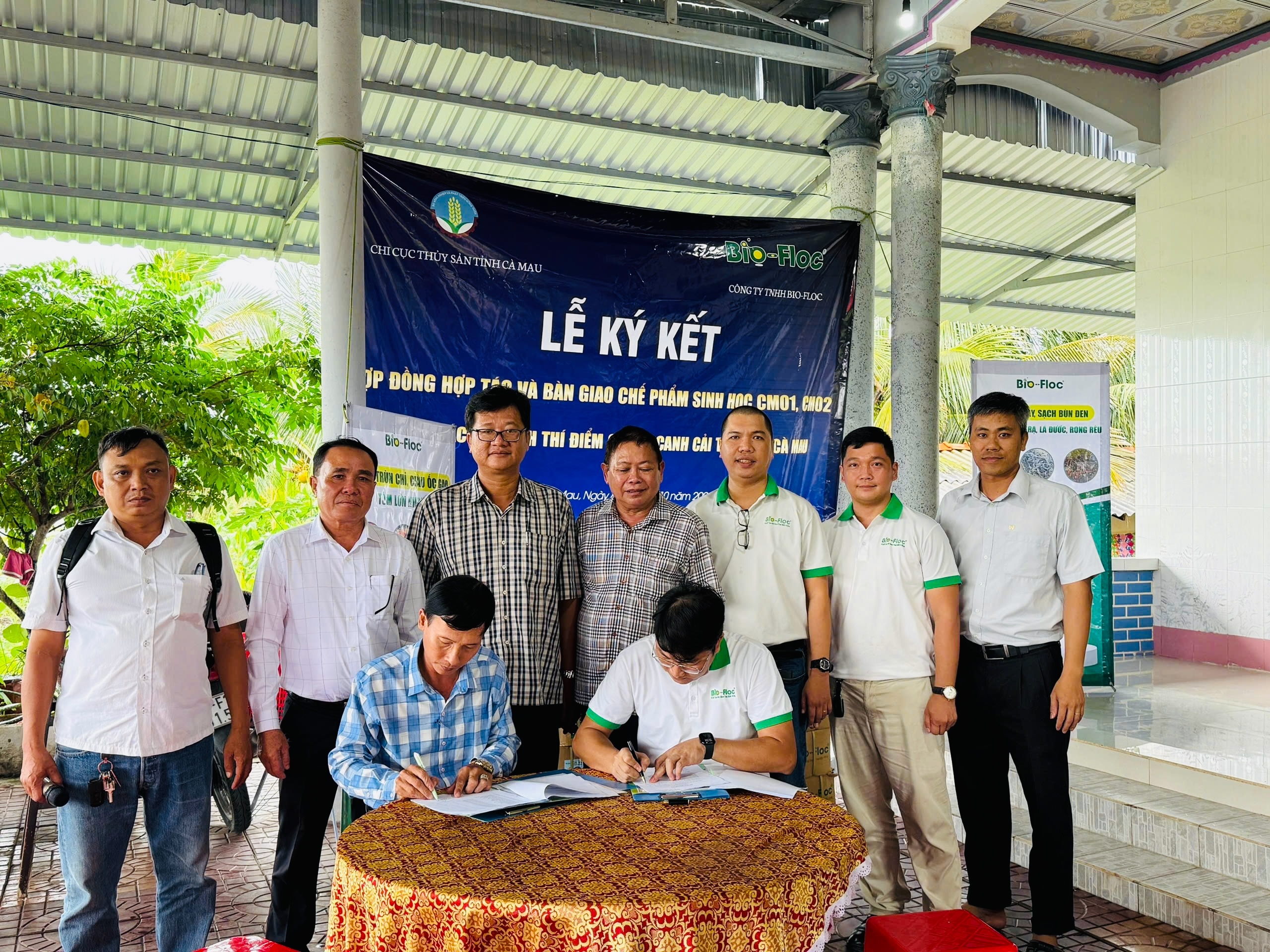 Nuôi tôm quảng canh cải tiến