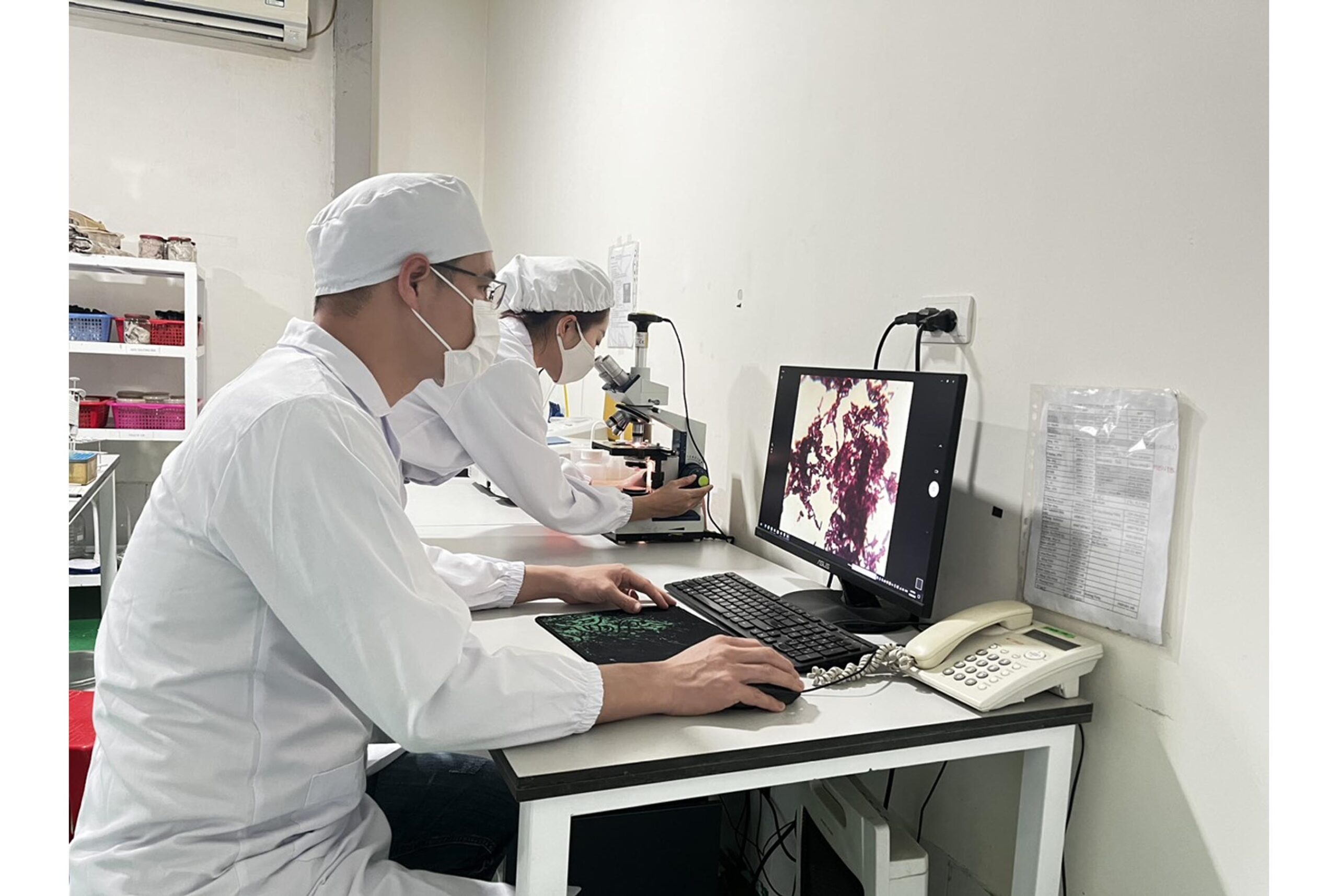 nguyên liệu vi sinh bản địa