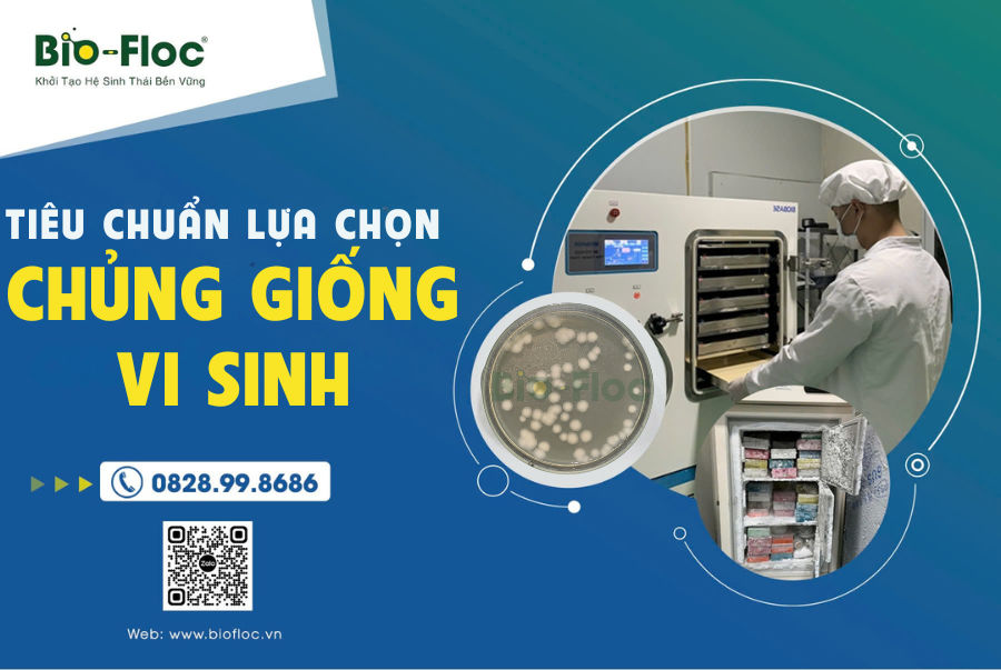 vi sinh bản địa