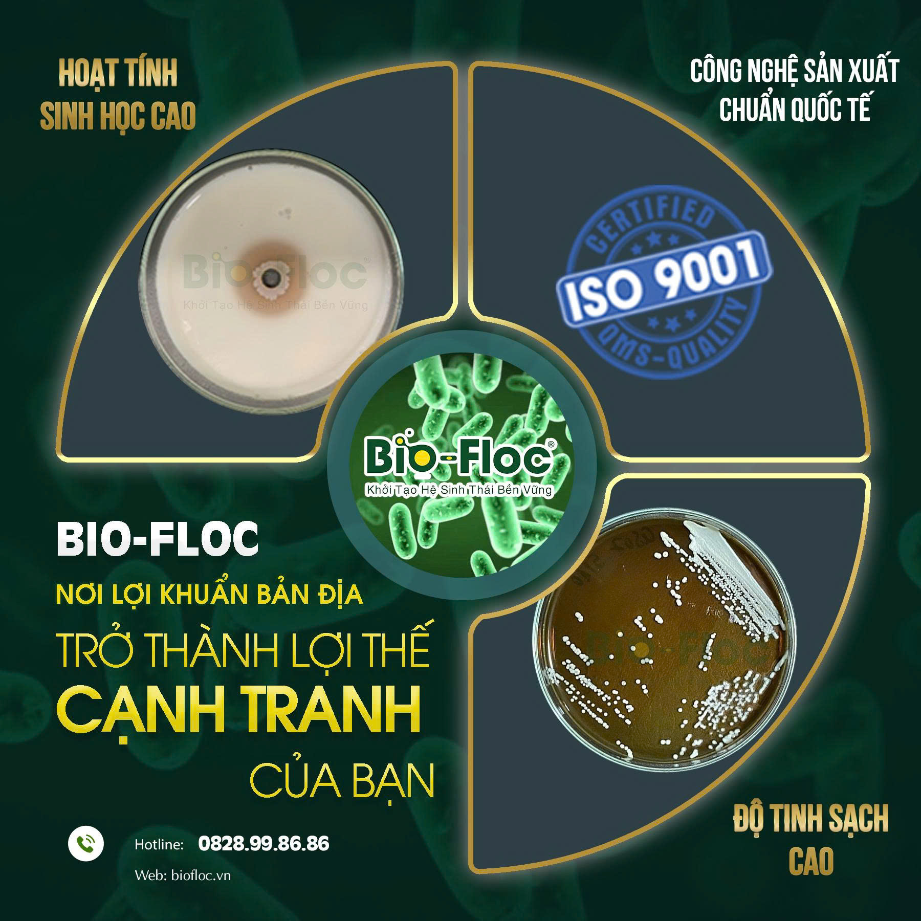 nguyên liệu vi sinh hoạt tính sinh học cao