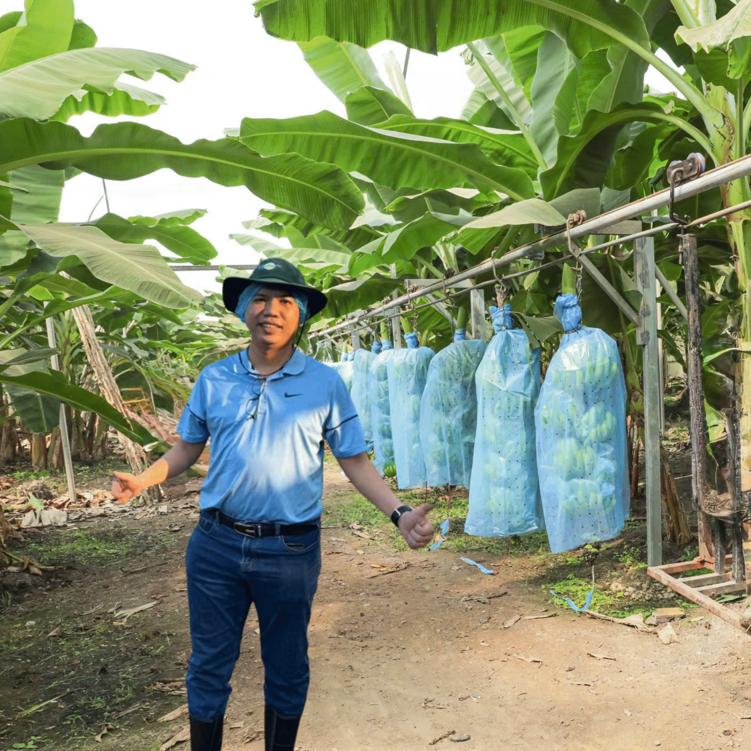 vi sinh cây trồng