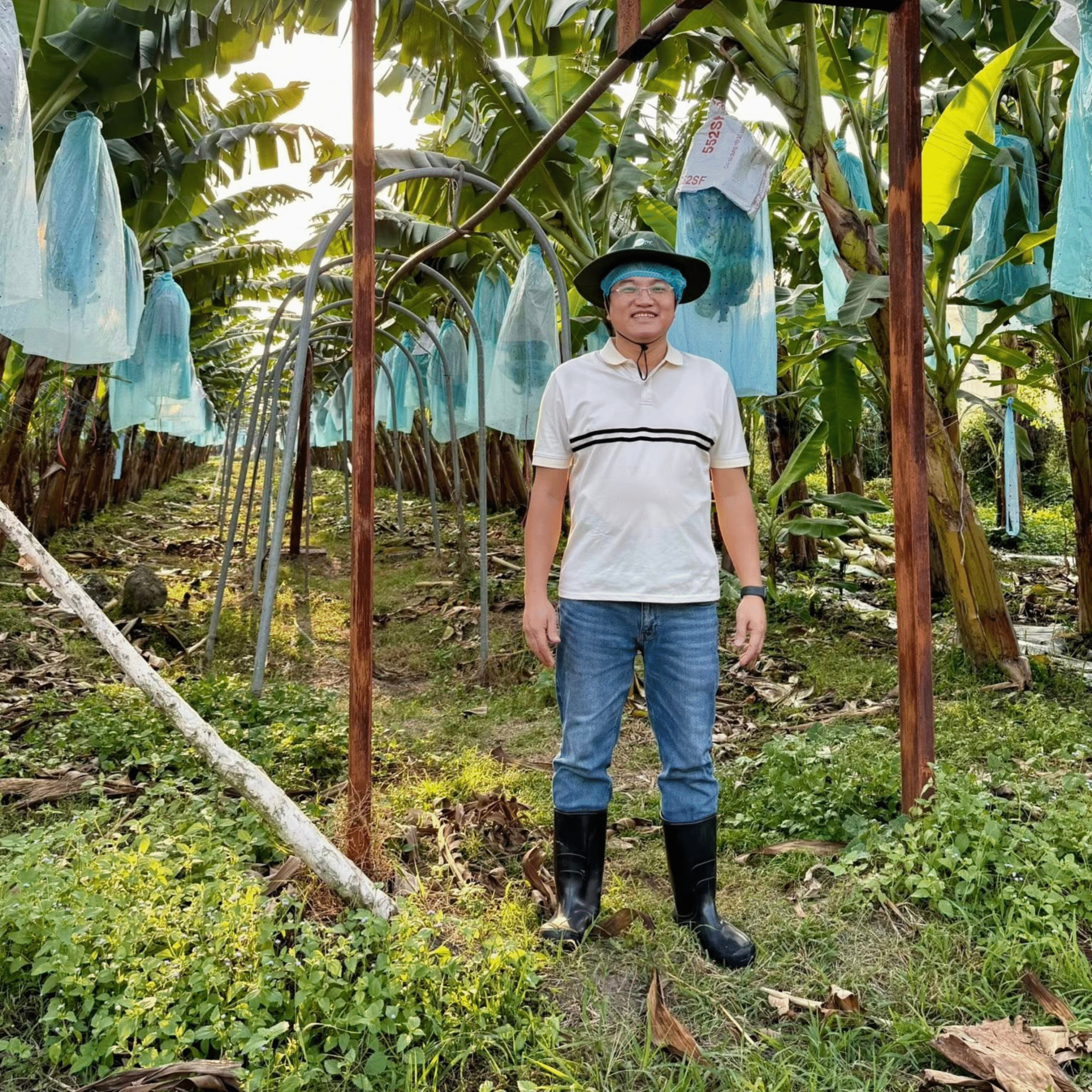 nguyên liệu vi sinh cây trồng