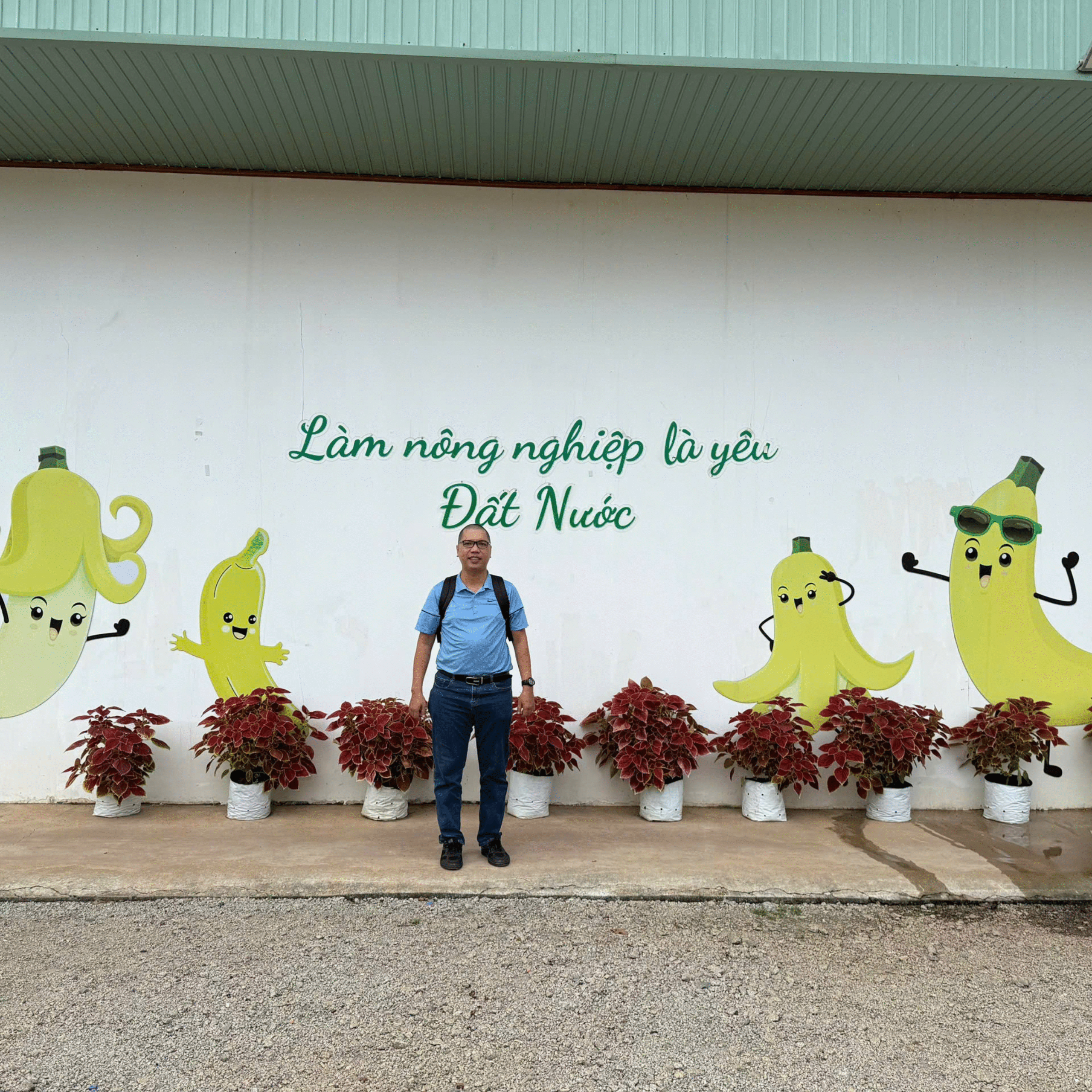 vi sinh bản địa