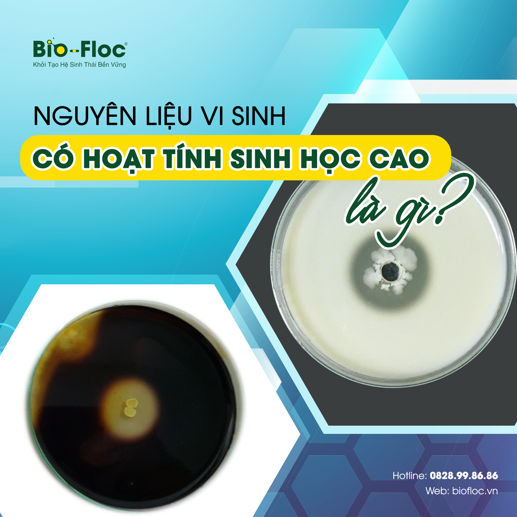 Nguyên liệu vi sinh hoạt tính sinh học cao