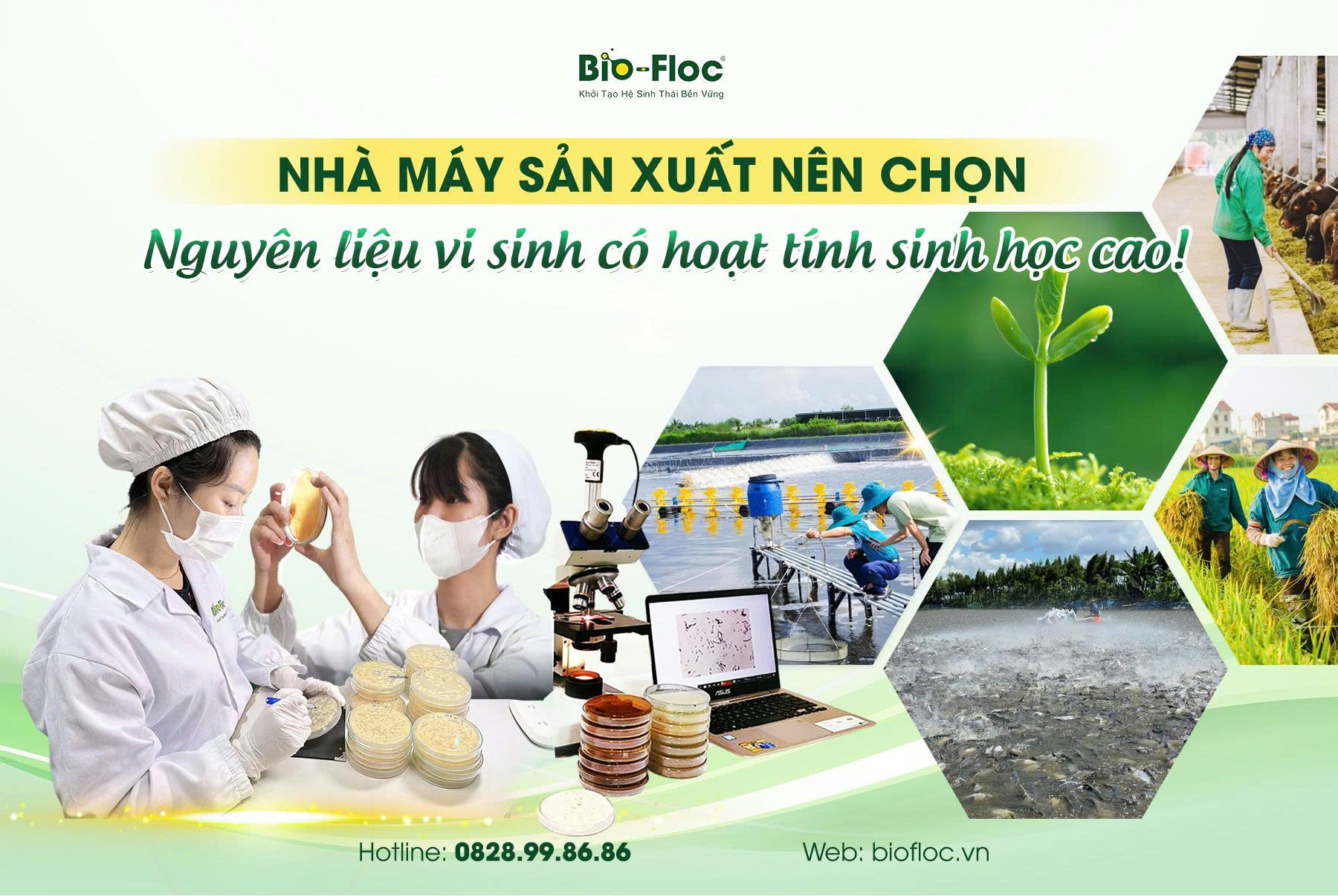 nguyên liệu vi sinh, nhà máy nguyên liệu vi sinh, nguyên liệu vi sinh cho nhà máy