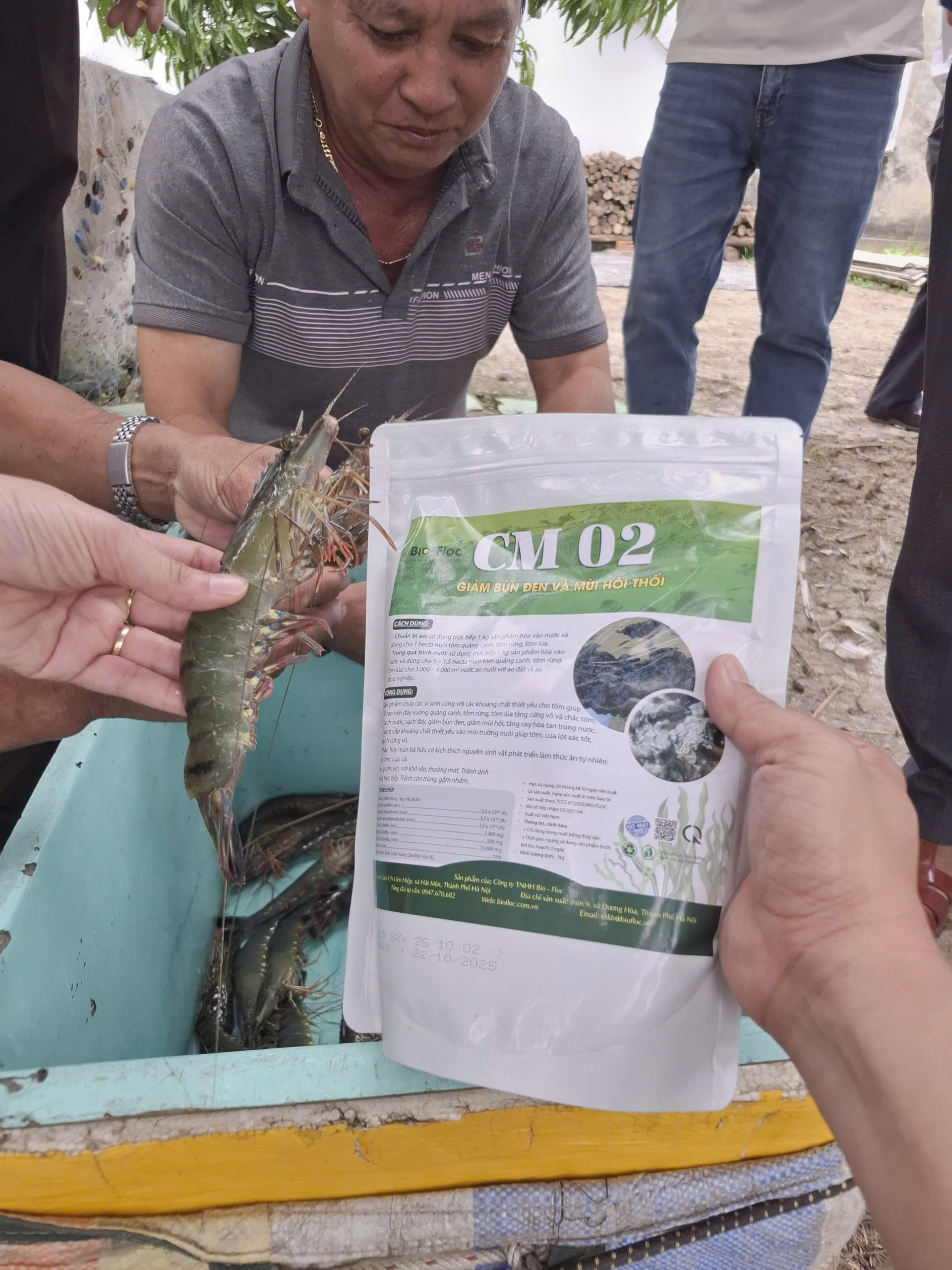 vi sinh bản địa