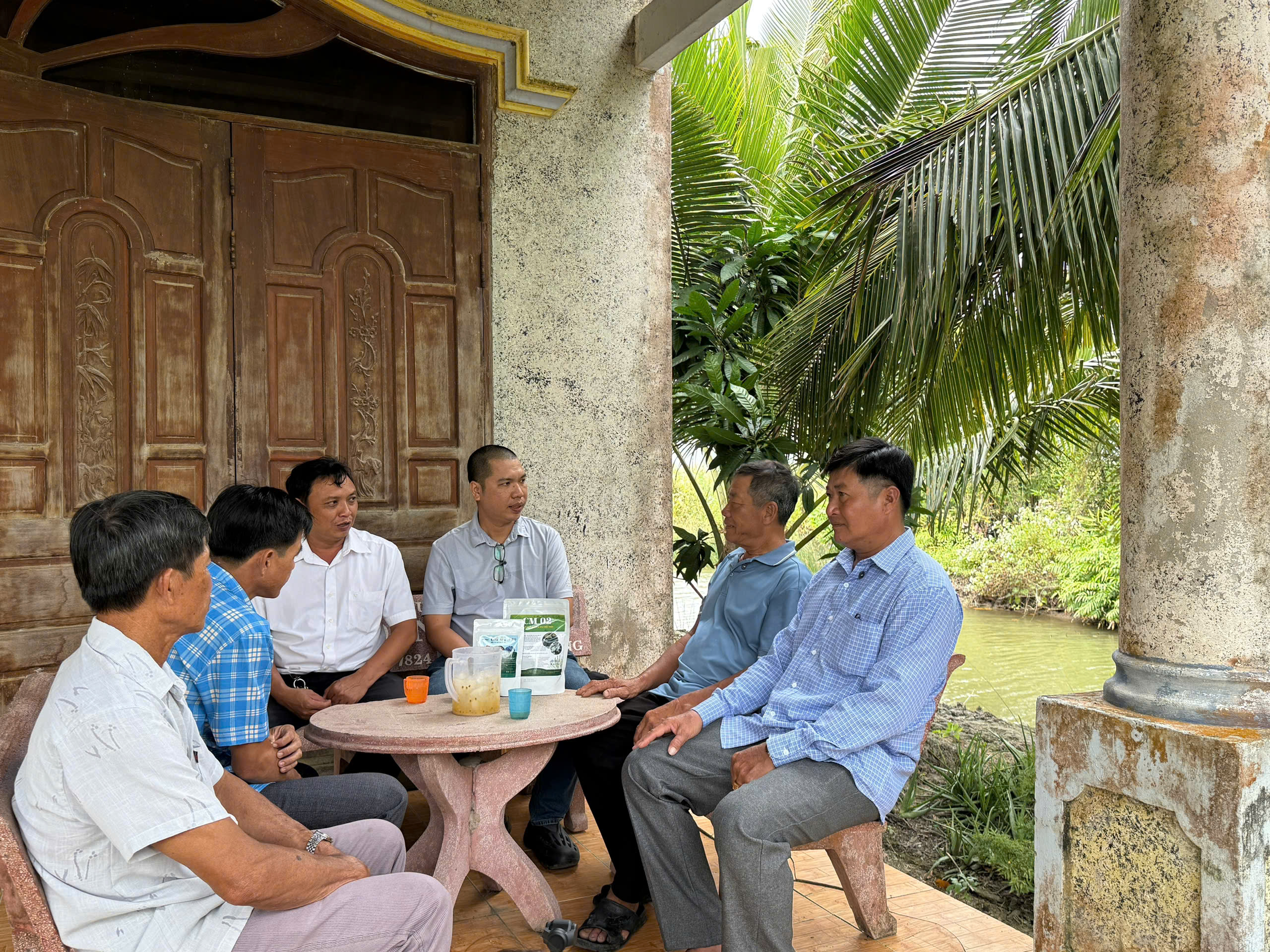 nuôi tôm quảng canh cải tiến