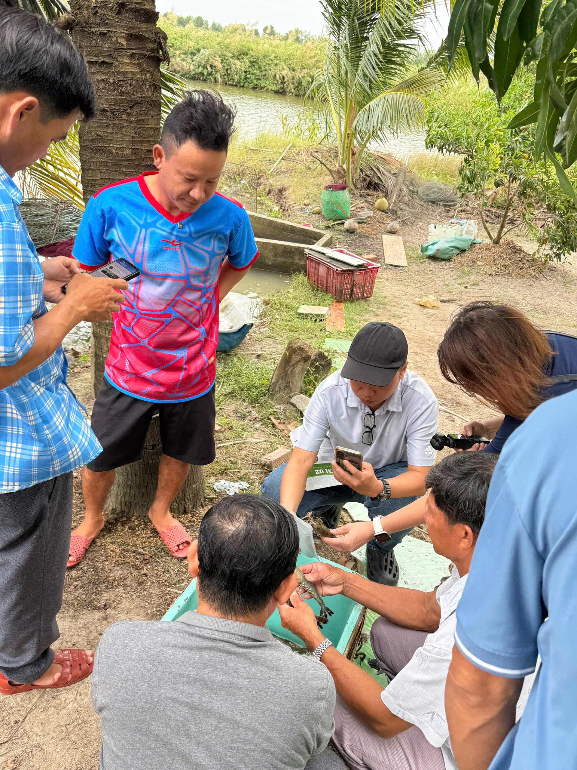 vi sinh bản địa