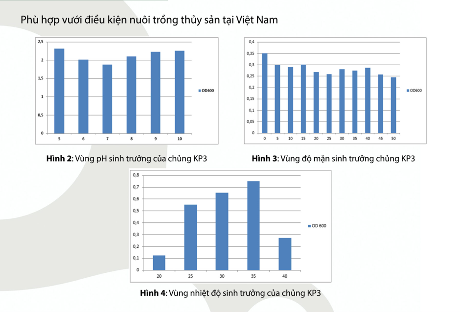 Bacilus amyloliquefaciens cho thuỷ sản