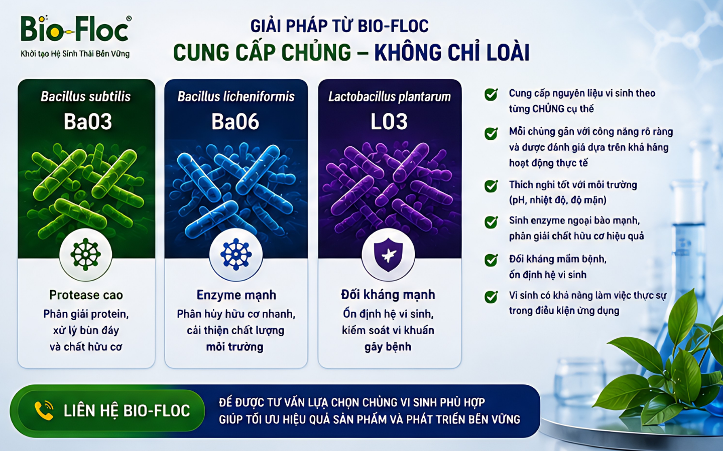bacillus subtilis có tác dụng gì nguyên liệu vi sinh vi sinh xử lý môi trường ao nuôi CFU vi sinh là gì
