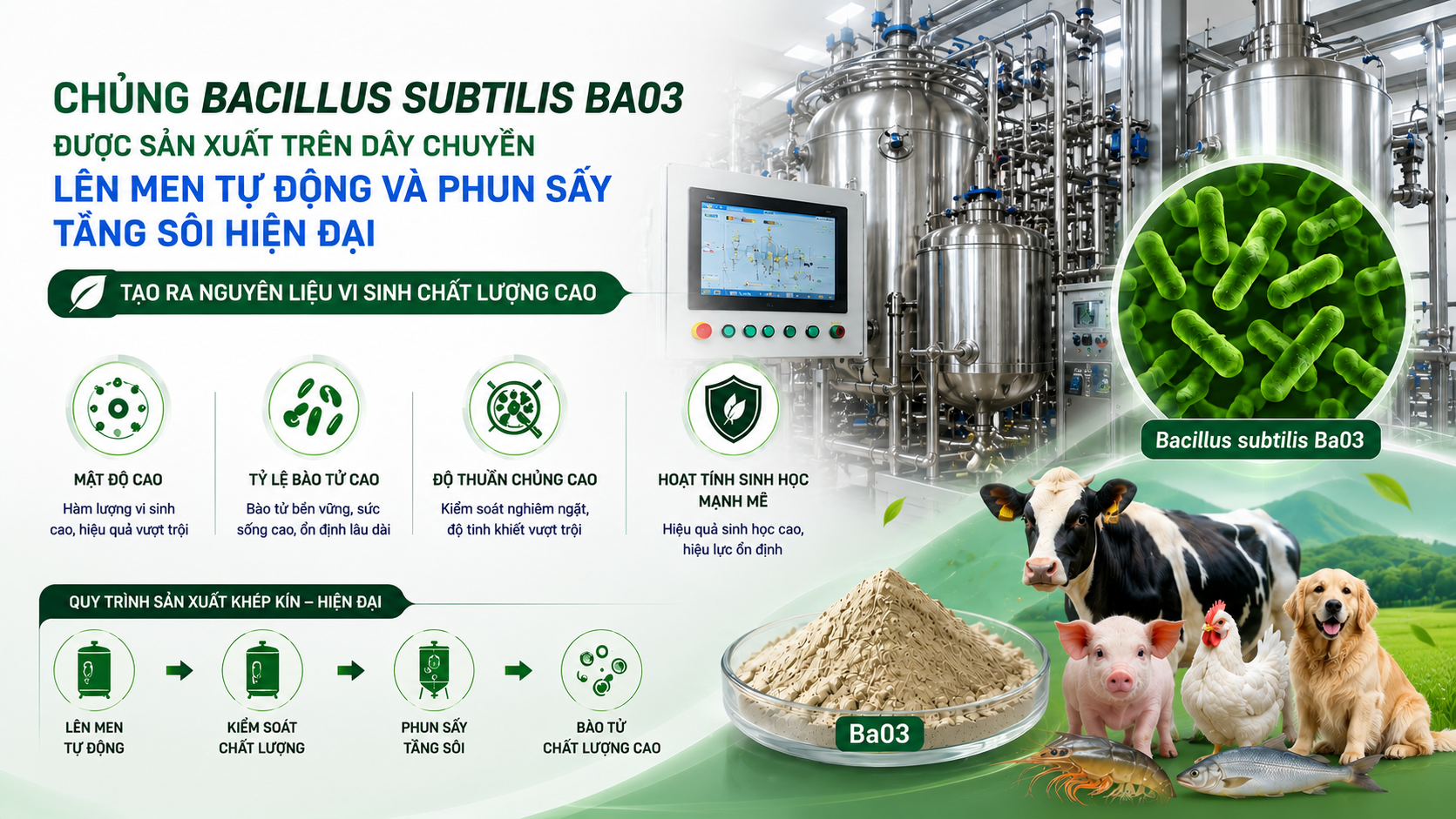 nhà máy sản xuất nguyên liệu Bacillus subtilis
