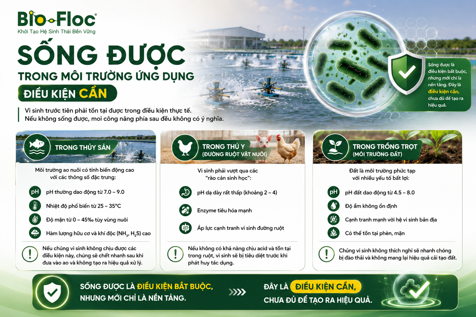 nguyên liệu vi sinh, vi sinh nguyên liệu, bio-floc