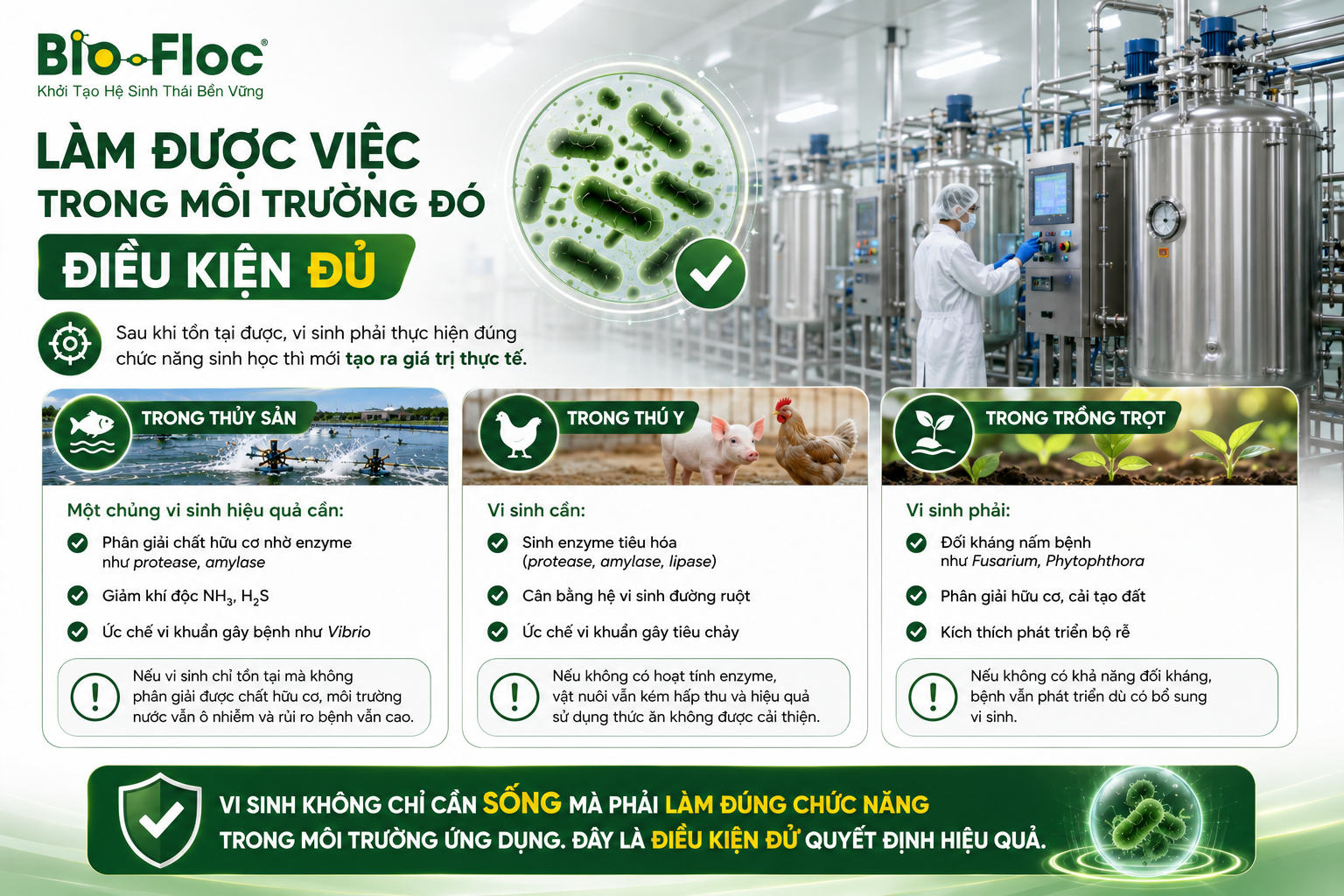 nguyên liệu vi sinh, vi sinh nguyên liệu, bio-floc