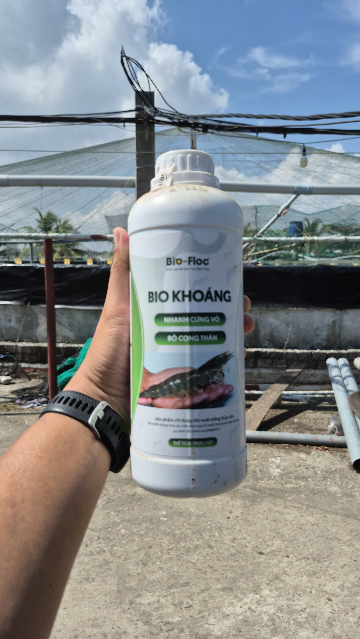 bio-floc, chế phẩm vi sinh, chế phẩm sinh học, vi sinh thuỷ sản, vi sinh nuôi tôm