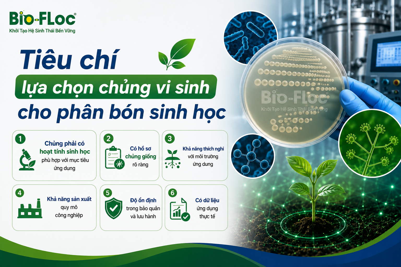 chủng vi sinh cho cây trồng
vi sinh phân bón
nguyên liệu vi sinh cho phân bón
phát triển sản phẩm phân bón sinh học
vi sinh vật có ích trong đất
