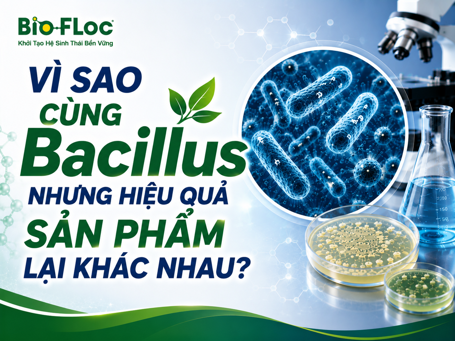 chủng Bacillus