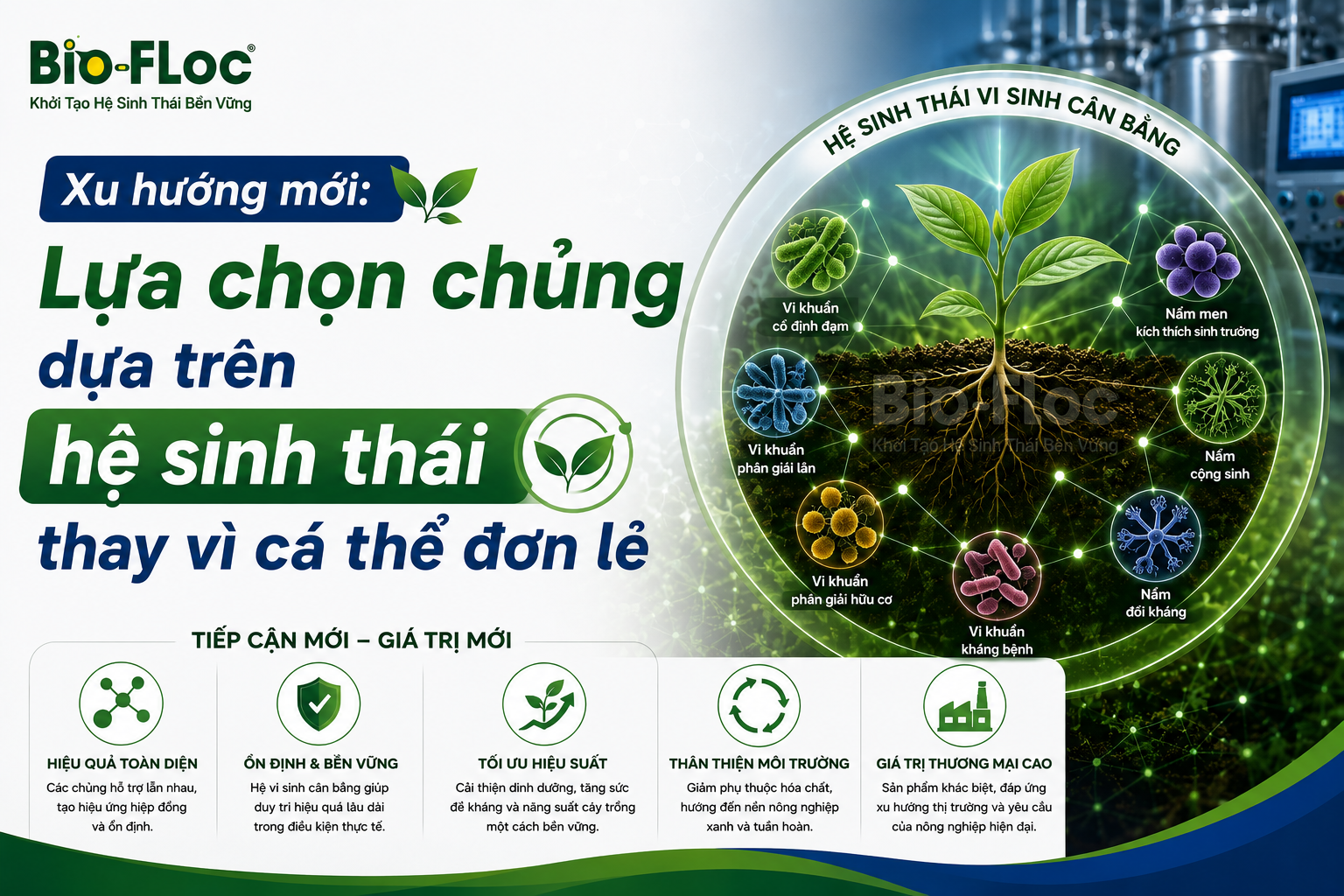 chủng vi sinh cho cây trồng
vi sinh phân bón
nguyên liệu vi sinh cho phân bón
phát triển sản phẩm phân bón sinh học
vi sinh vật có ích trong đất
