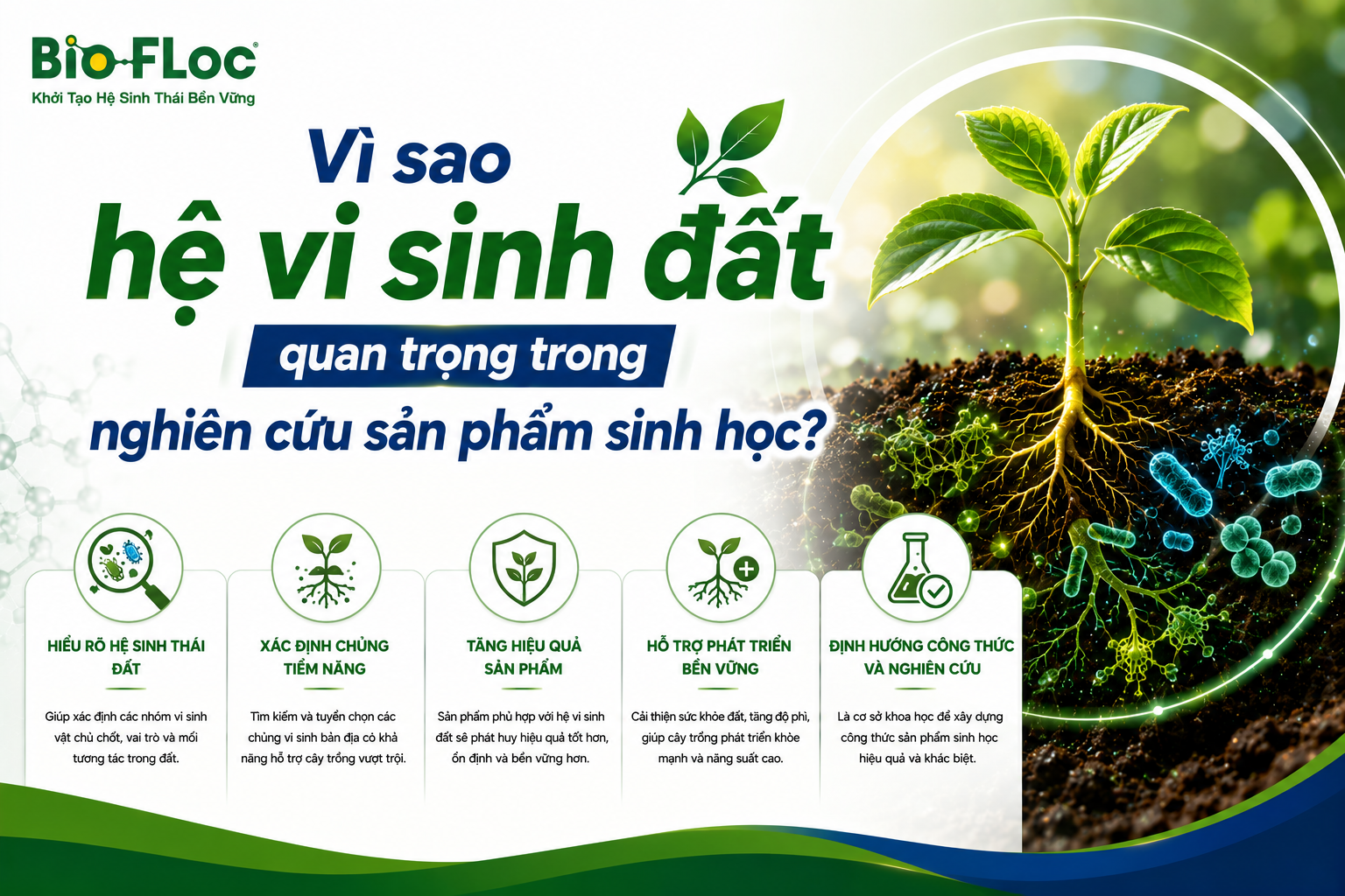vi sinh đất
hệ sinh thái đất
vi sinh vật đất
nguyên liệu vi sinh cho cây trồng
phát triển sản phẩm sinh học cây trồng