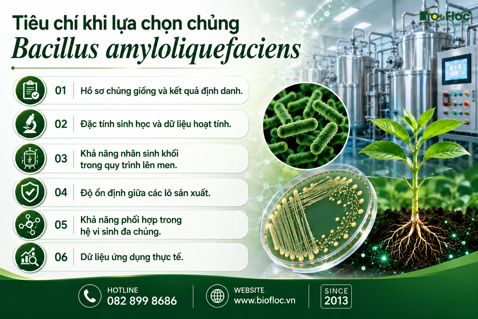 Bacillus amyloliquefaciens Chủng Bacillus amyloliquefaciens Nguyên liệu vi sinh cho cây trồng Chủng vi sinh cho phân bón sinh học R&D chế phẩm sinh học OEM chế phẩm sinh học Bacillus amyloliquefaciens KP3