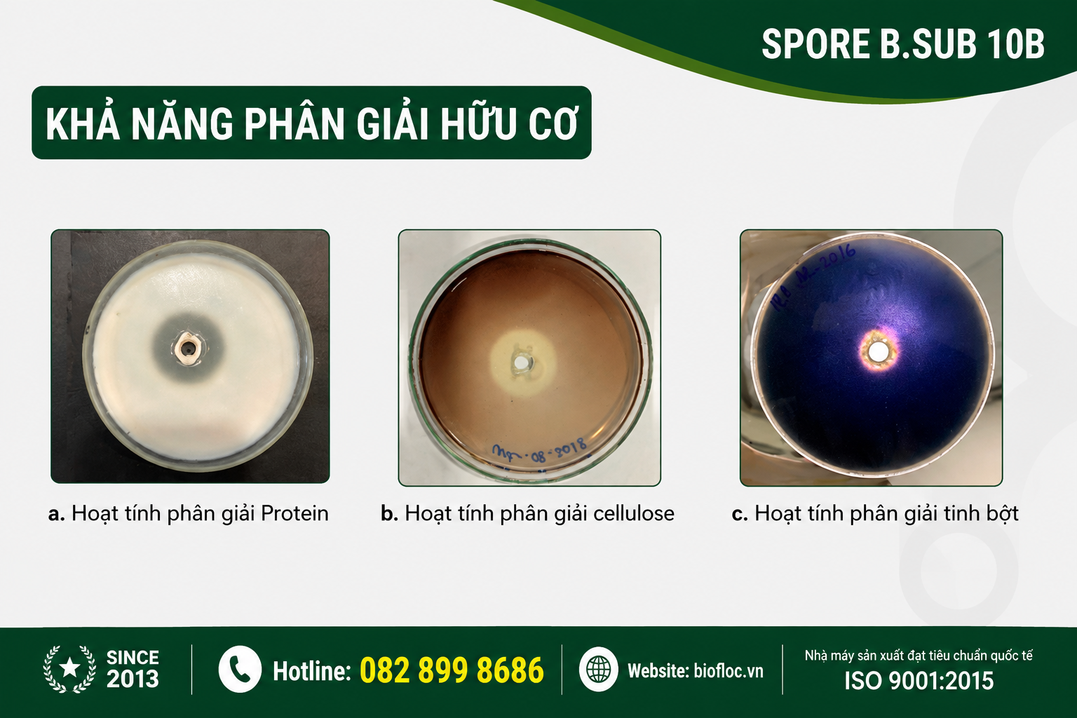 nguyên liệu Bacillus subtilis, Bacillus subtilis Ba03, SPORE B.SUB 10B, nguyên liệu vi sinh