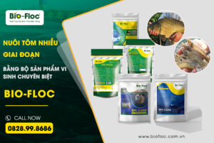 men vi sinh, men tiêu hóa, men vi sinh cho đường ruột khỏe