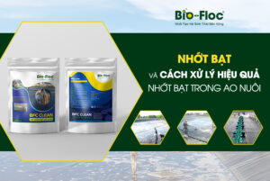 cách xử lý nhớt bạt, nhớt bạt,nhớt bạt ao nuôi tôm