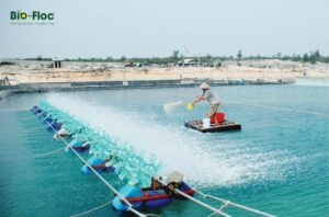 dòng chế phẩm sinh học,nuôi tôm,nuôi trồng thủy hải sản