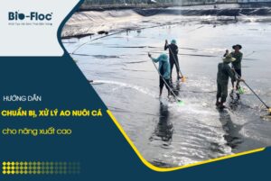 vi sinh, vi sinh xử lý đáy, men tiêu hóa, kỹ thuật nuôi cấy vi sinh