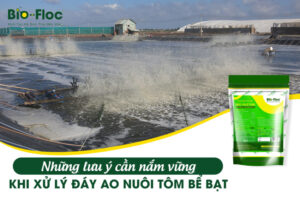 vi sinh, vi sinh xử lý đáy, men tiêu hóa, kỹ thuật nuôi cấy vi sinh