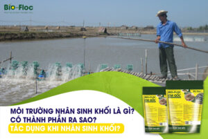 vi sinh, vi sinh xử lý đáy, men tiêu hóa, kỹ thuật nuôi cấy vi sinh