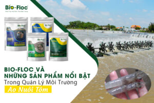 vi sinh, vi sinh xử lý đáy, men tiêu hóa, kỹ thuật nuôi cấy vi sinh