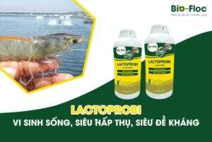 vi sinh, vi sinh xử lý đáy, men tiêu hóa, kỹ thuật nuôi cấy vi sinh