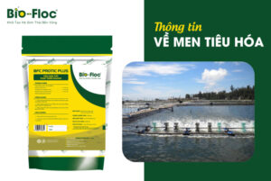 vi sinh, vi sinh xử lý đáy, men tiêu hóa, kỹ thuật nuôi cấy vi sinh