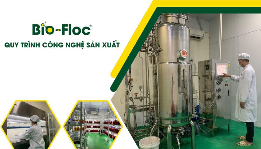 vi sinh, vi sinh xử lý đáy, men tiêu hóa, kỹ thuật nuôi cấy vi sinh