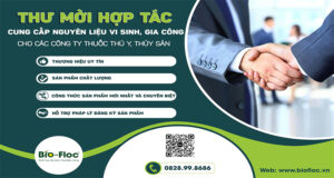 vi sinh, vi sinh xử lý đáy, men tiêu hóa, kỹ thuật nuôi cấy vi sinh