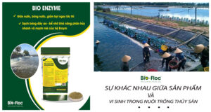 vi sinh, vi sinh xử lý đáy, men tiêu hóa, kỹ thuật nuôi cấy vi sinh