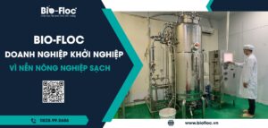 chế phẩm sinh học, vi sinh bản địa, vi sinh, vi sinh xử lý đáy, men tiêu hóa, kỹ thuật nuôi cấy vi sinh