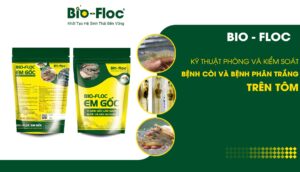 chế phẩm sinh học, vi sinh bản địa, vi sinh, vi sinh xử lý đáy, men tiêu hóa, kỹ thuật nuôi cấy vi sinh