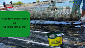 chế phẩm sinh học, vi sinh bản địa, vi sinh, vi sinh xử lý đáy, men tiêu hóa, kỹ thuật nuôi cấy vi sinh