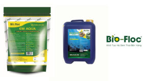 chế phẩm sinh học, vi sinh bản địa, vi sinh, vi sinh xử lý đáy, men tiêu hóa, kỹ thuật nuôi cấy vi sinh