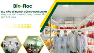 chế phẩm sinh học, vi sinh bản địa, vi sinh, vi sinh xử lý đáy, men tiêu hóa, kỹ thuật nuôi cấy vi sinh