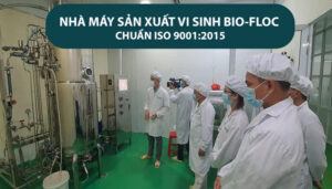 vi sinh, vi sinh xử lý đáy, men tiêu hóa, kỹ thuật nuôi cấy vi sinh