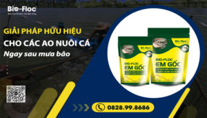 vi sinh, vi sinh xử lý đáy, men tiêu hóa, kỹ thuật nuôi cấy vi sinh