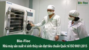 cách hỗ trợ điều trị tôm bị bệnh phân trắng