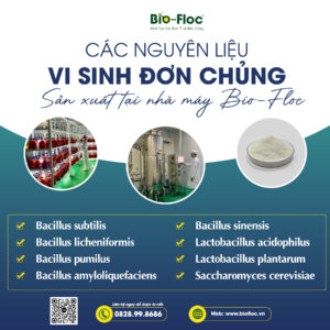 Nguyên liệu vi sinh đơn chủng sản xuất tại nhà máy Bio-Floc