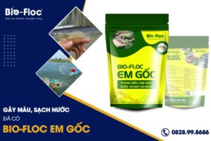 Chế phẩm Bio-Floc EM Gốc