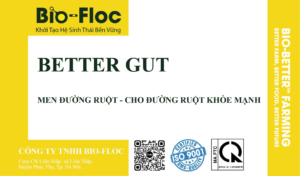 Better Gut - Men đường ruột - Cho đường ruột khỏe mạnh