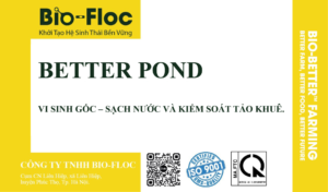 BETTER POND