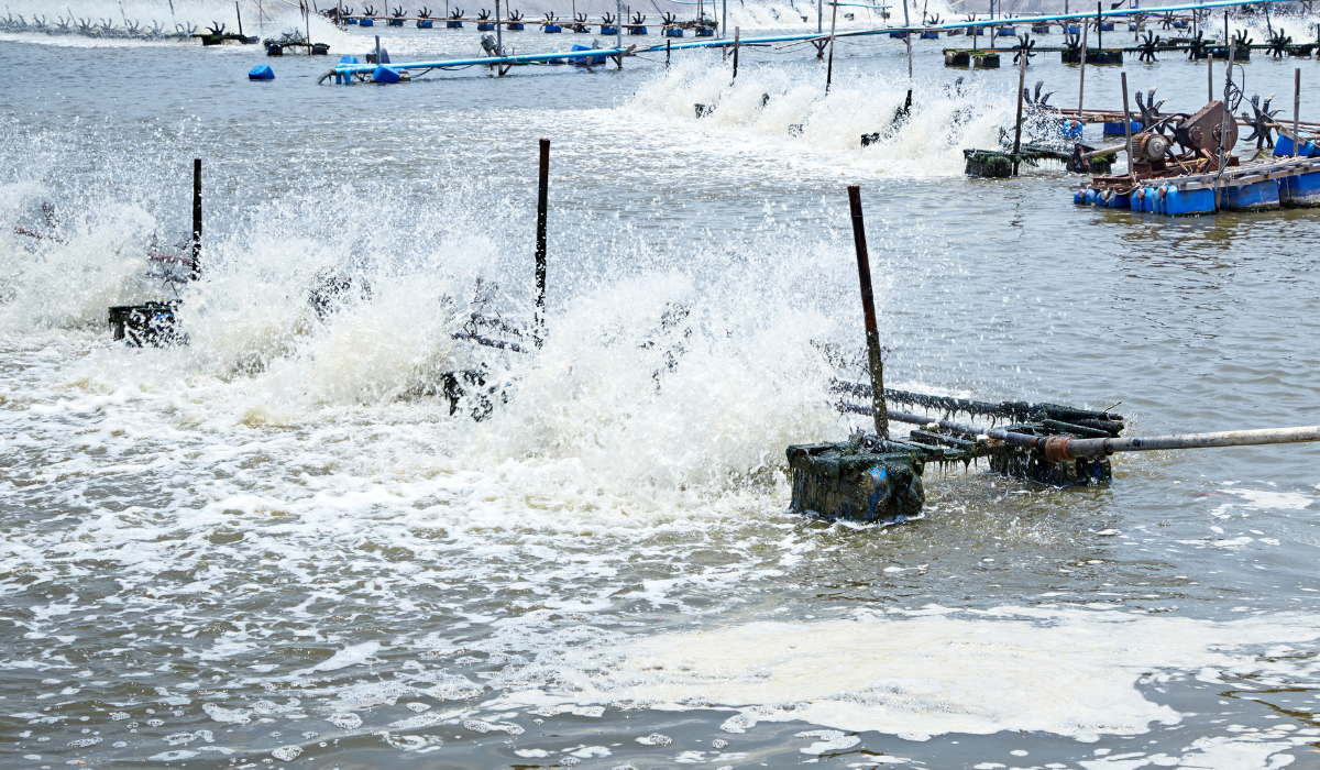 Sản Phẩm Xử Lý Nước